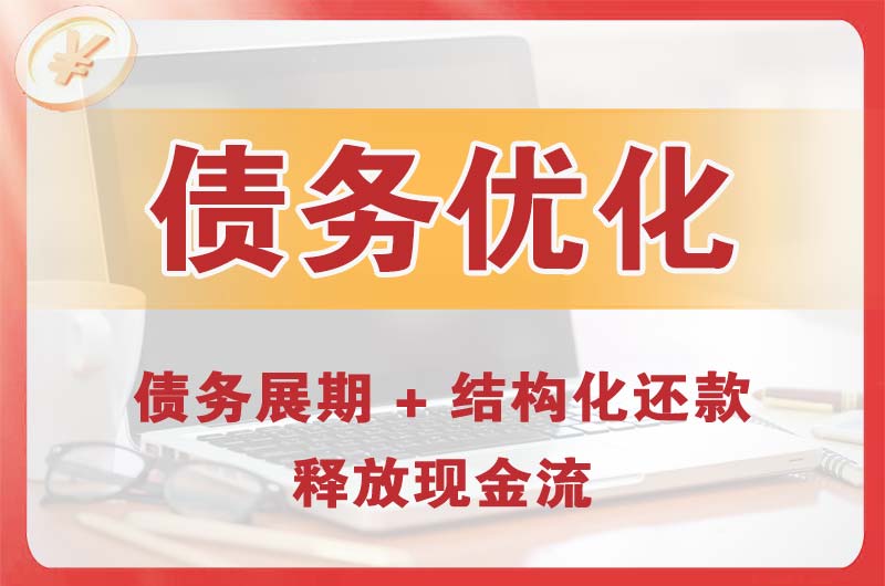 沧县债务优化