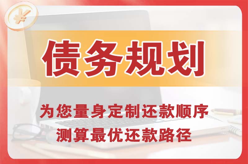 沧县债务规划